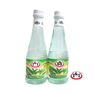 Mint water (1&1)